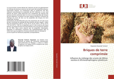 Briques de terre comprimée