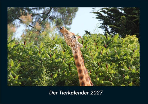 Der Tierkalender 2027 Fotokalender DIN A4