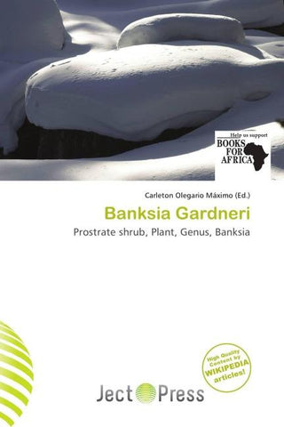 Banksia Gardneri
