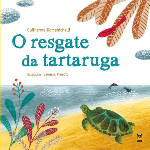 O resgate da tartaruga
