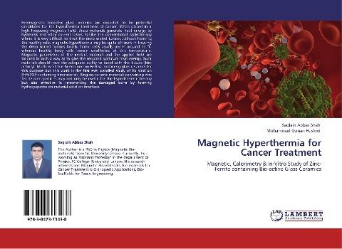 Magnetic Hyperthermia for Cancer Treatment