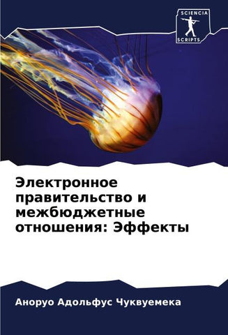 Jelektronnoe prawitel'stwo i mezhbüdzhetnye otnosheniq: Jeffekty
