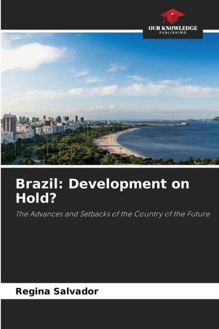 Brazil: Development on Hold?