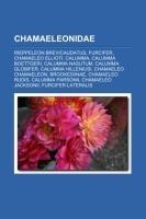 Chamaeleonidae