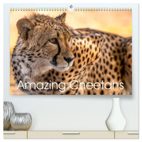 Amazing Cheetahs (High Quality Premium Wall Calendar 2026 DIN A2 landscape),CALVENDO 12 Month Wall Calendar