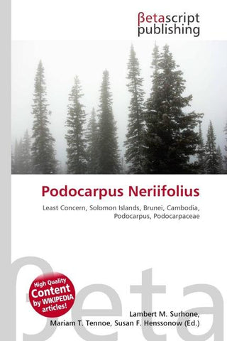 Podocarpus Neriifolius