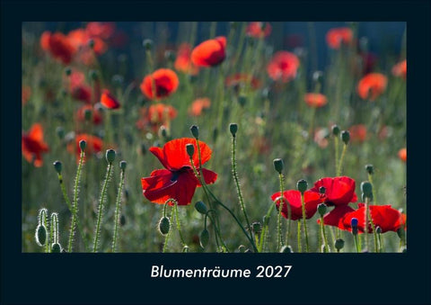 Blumenträume 2027 Fotokalender DIN A4