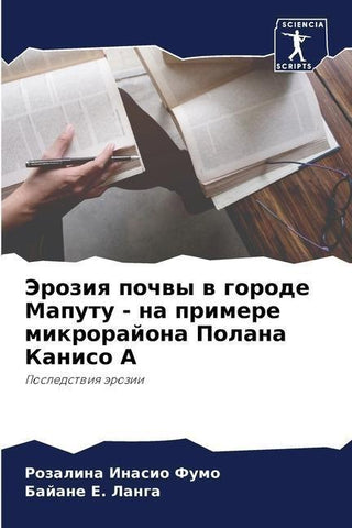Jeroziq pochwy w gorode Maputu - na primere mikrorajona Polana Kaniso A