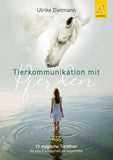 Tierkommunikation mit Pferden