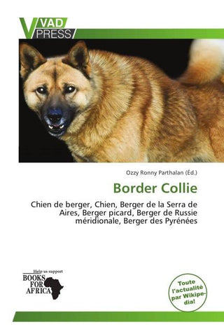 Border Collie