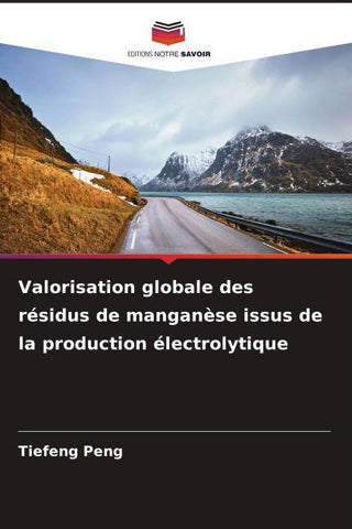 Valorisation globale des résidus de manganèse issus de la production électrolytique