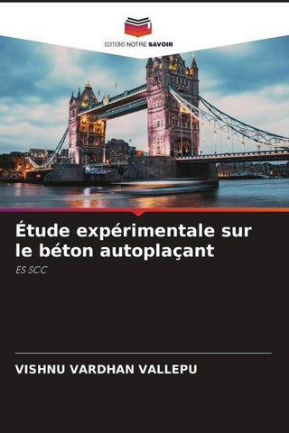 Étude expérimentale sur le béton autoplaçant