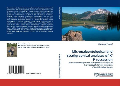Micropaleontological and stratigraphical analyses of K/P succession
