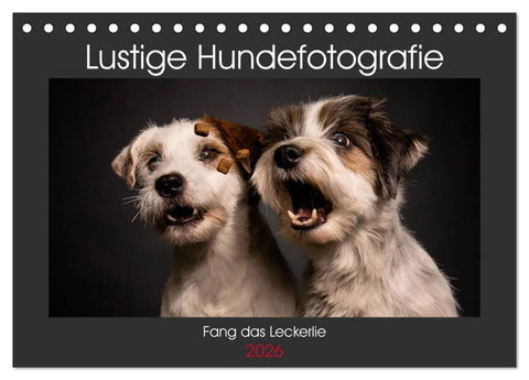 Fang das Leckerlie (Tischkalender 2026 DIN A5 quer), CALVENDO Monatskalender