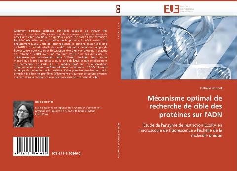 Mécanisme optimal de recherche de cible des protéines sur l''ADN