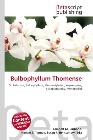 Bulbophyllum Thomense