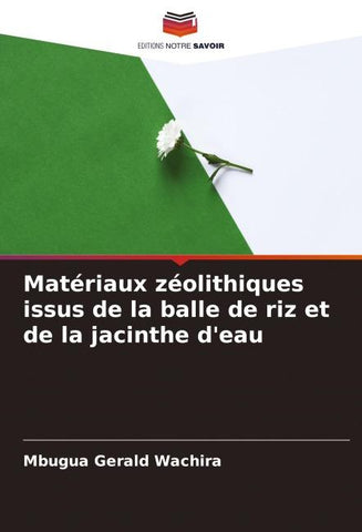 Matériaux zéolithiques issus de la balle de riz et de la jacinthe d'eau