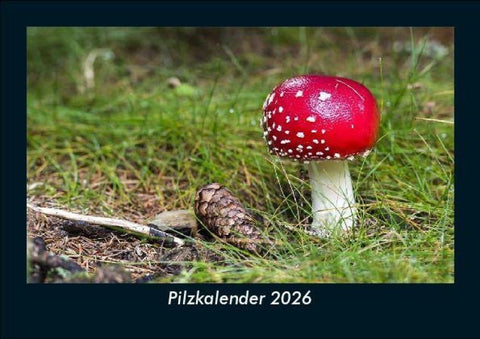 Pilzkalender 2026 Fotokalender DIN A5
