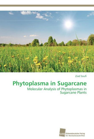 Phytoplasma in Sugarcane