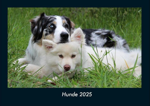 Hunde 2025 Fotokalender DIN A4