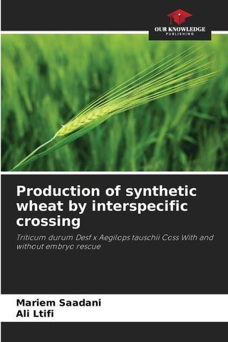 Production of synthetic wheat by interspecific crossing
