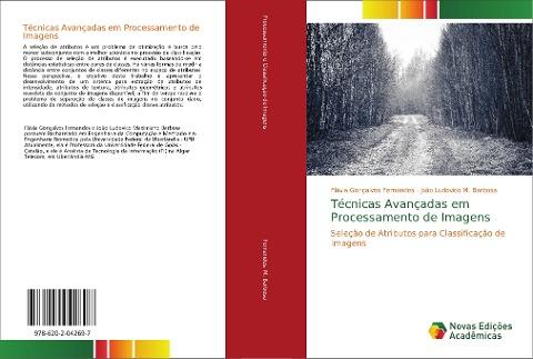 Técnicas Avançadas em Processamento de Imagens