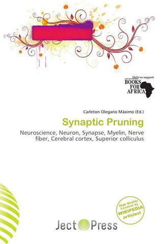 Synaptic Pruning