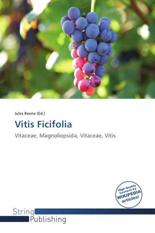 Vitis Ficifolia