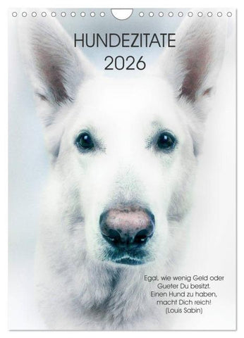 Hundezitate 2026 (Wandkalender 2026 DIN A4 hoch), CALVENDO Monatskalender