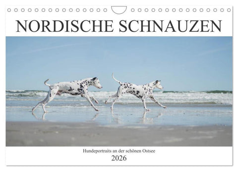 Nordische Schnauzen (Wandkalender 2026 DIN A4 quer), CALVENDO Monatskalender