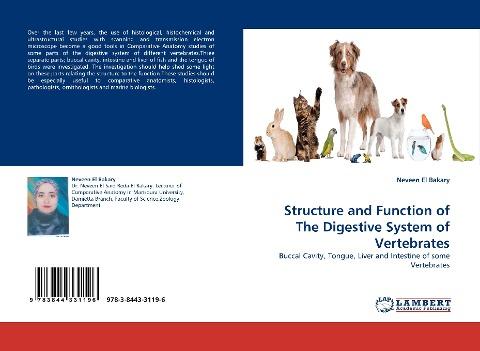 Structure and Function of The Digestive System of Vertebrates