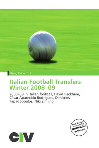 Italian Football Transfers Winter 2008-09