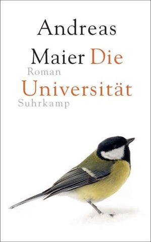 Die Universität − Roman (Ortsumgehung 6)