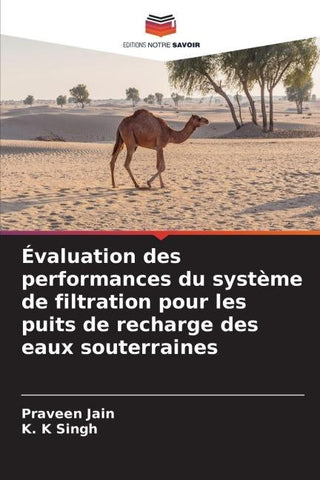 Évaluation des performances du système de filtration pour les puits de recharge des eaux souterraines