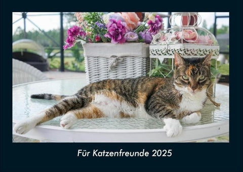 Für Katzenfreunde 2025 Fotokalender DIN A4