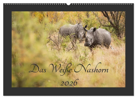 Das Weiße Nashorn (Wandkalender 2026 DIN A2 quer), CALVENDO Monatskalender