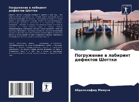 Pogruzhenie w labirint defektow Shottki