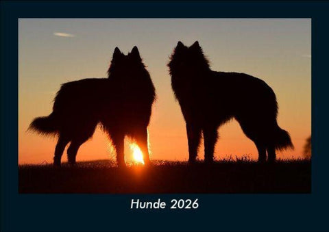 Hunde 2026 Fotokalender DIN A5