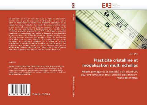Plasticité cristalline et modélisation multi échelles