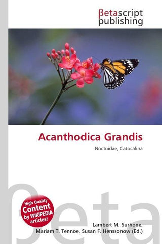 Acanthodica Grandis