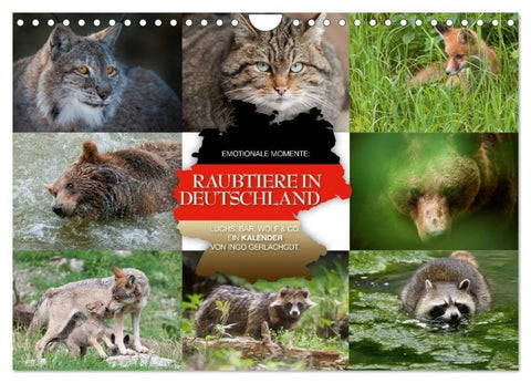 Emotionale Momente: Raubtiere in Deutschland (Wandkalender 2026 DIN A4 quer), CALVENDO Monatskalender