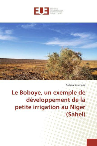 Le Boboye, un exemple de développement de la petite irrigation au Niger (Sahel)