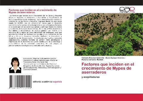 Factores que inciden en el crecimiento de Mypes de aserraderos