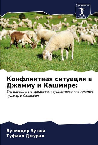 Konfliktnaq situaciq w Dzhammu i Kashmire:
