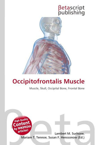 Occipitofrontalis Muscle