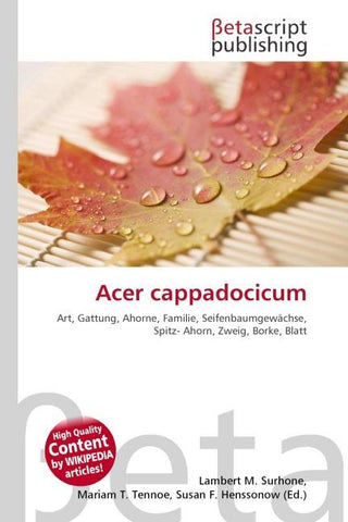 Acer cappadocicum