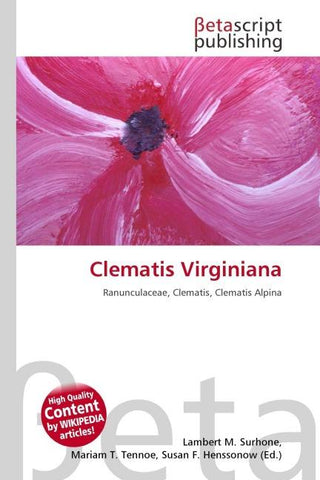 Clematis Virginiana