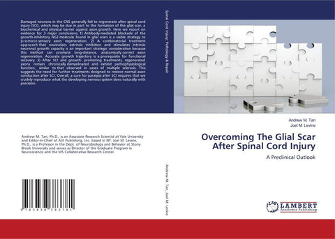 Overcoming The Glial Scar After Spinal Cord Injury