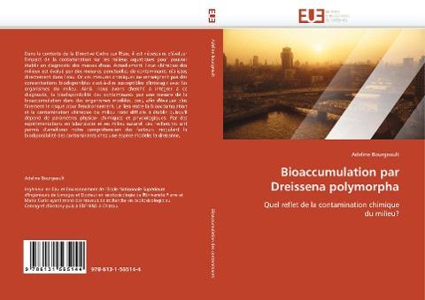 Bioaccumulation par Dreissena polymorpha