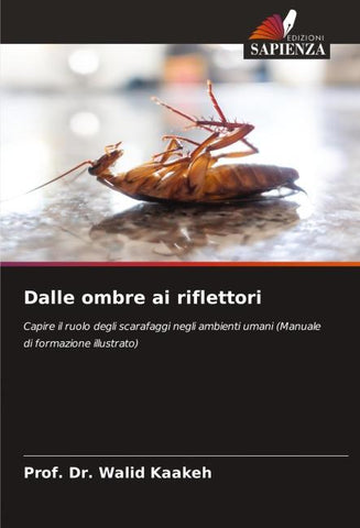 Dalle ombre ai riflettori